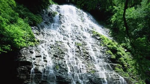 高性能自动化
